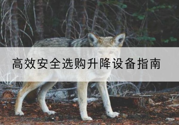 依兰升降货梯厂家推荐-*安全选购升降设备指南