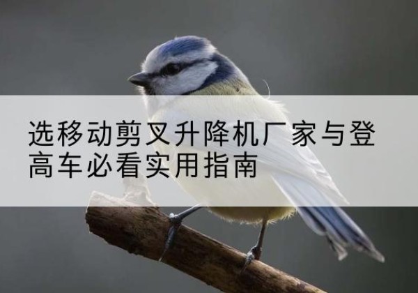 依兰电动升降机厂家-选移动剪叉升降机厂家与登高车必看实用指南